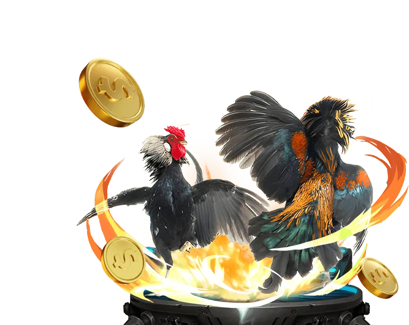 Kèo Wala - Gà người chơi